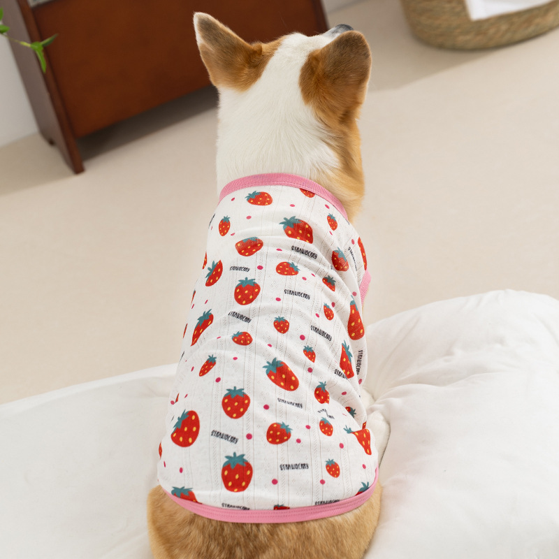 Estilo de primavera y verano perro fresa fruta Corgi chaleco pequeño perro salchicha de dos patas ropa delgada para perros