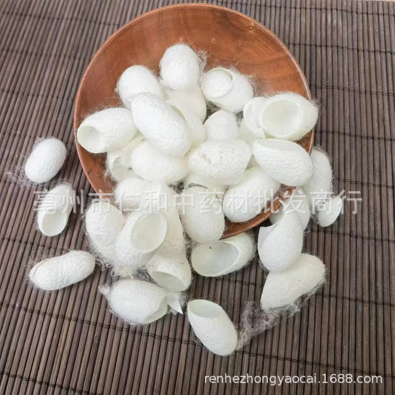 Dried Silkworm Cocoon Shell Can Qiao Traditional Herbal Ingredient Bulk Supply quality and texture