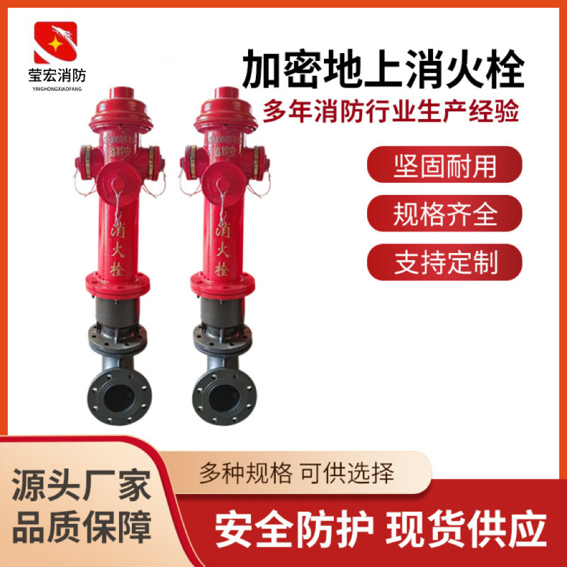 National Standard Manufacturer Outdoor Encrypted Fire Hydrant Ss10065-1.6 New Type Above-Ground Fire Hydrant with Pressure Reduction National Standard Manufacturer Outdoor Encrypted Fire Hydrant Ss10065-1.6 New Type Above-Ground Fire Hydrant with Pressure Reduction