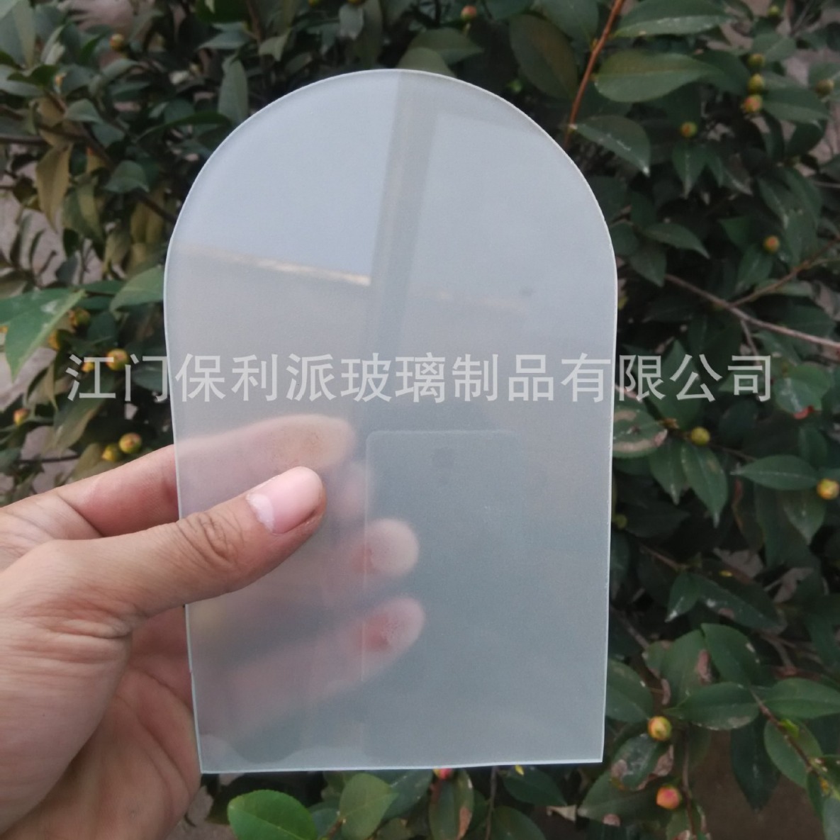 深加工蒙砂玻璃 打砂玻璃 工厂直销卫浴玻璃 药水砂钢化玻璃