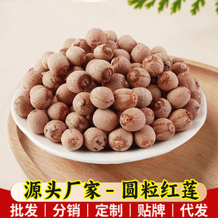 �tɏ�Ӹ�؛��о������о�������r�ֹ����w����ɏ�����l���b