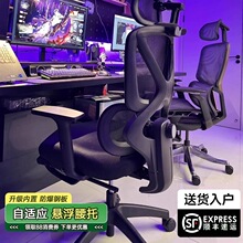 늸������w���W�����o��������X�μ������m���������k���ο�����