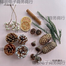 ɹ޹U㱭ɹɻ}QbĔzȻֹM