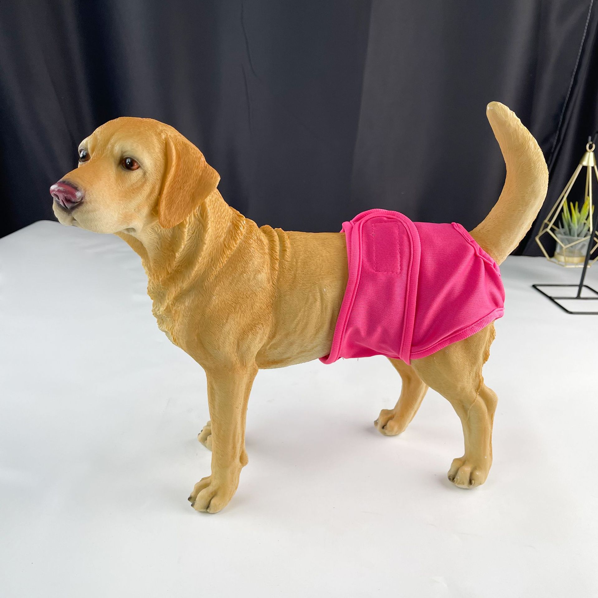 f7563fa5-dcaf-4fc3-9049-1925ba