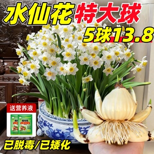 ����ˮ�ɻ��N��ˮ������ֲ������҃�ˮ�B��������������������