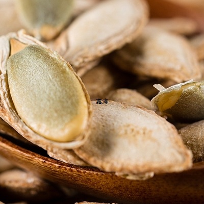 老闫家南瓜子大毛边盐焗味瓜籽独立小包装炒货新货椒盐大粒0g