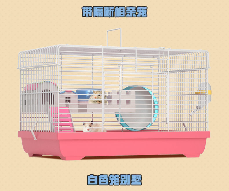 cdf9613a-96f1-4142-b801-a2b2dd3d8c4f.jpe