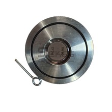 1617902510 SINGLE CHECK VALVE DN80˹ֹyƷN