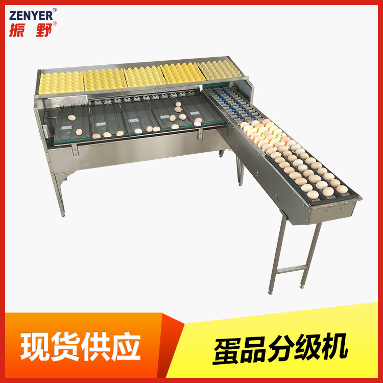深圳振野厂家直销5400枚经济实惠多功能小型鸡蛋鸭蛋蛋品分选机