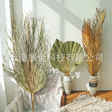 ��ϰŽ��ȴ������~�ɻ��F���~�ؙ��~���b���ܛ�b�S�����l�L��