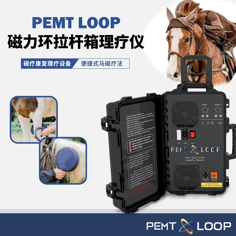PEMF LOOP животных двухканальная магнитотерапия машина Портативный ящик для лошадей для восстановления спортивной боли
