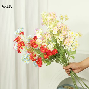 ����ˇ���滨������ͩ��c�[����@�Ҿә����Ҿ��b���c�ٻ�ܛ�b