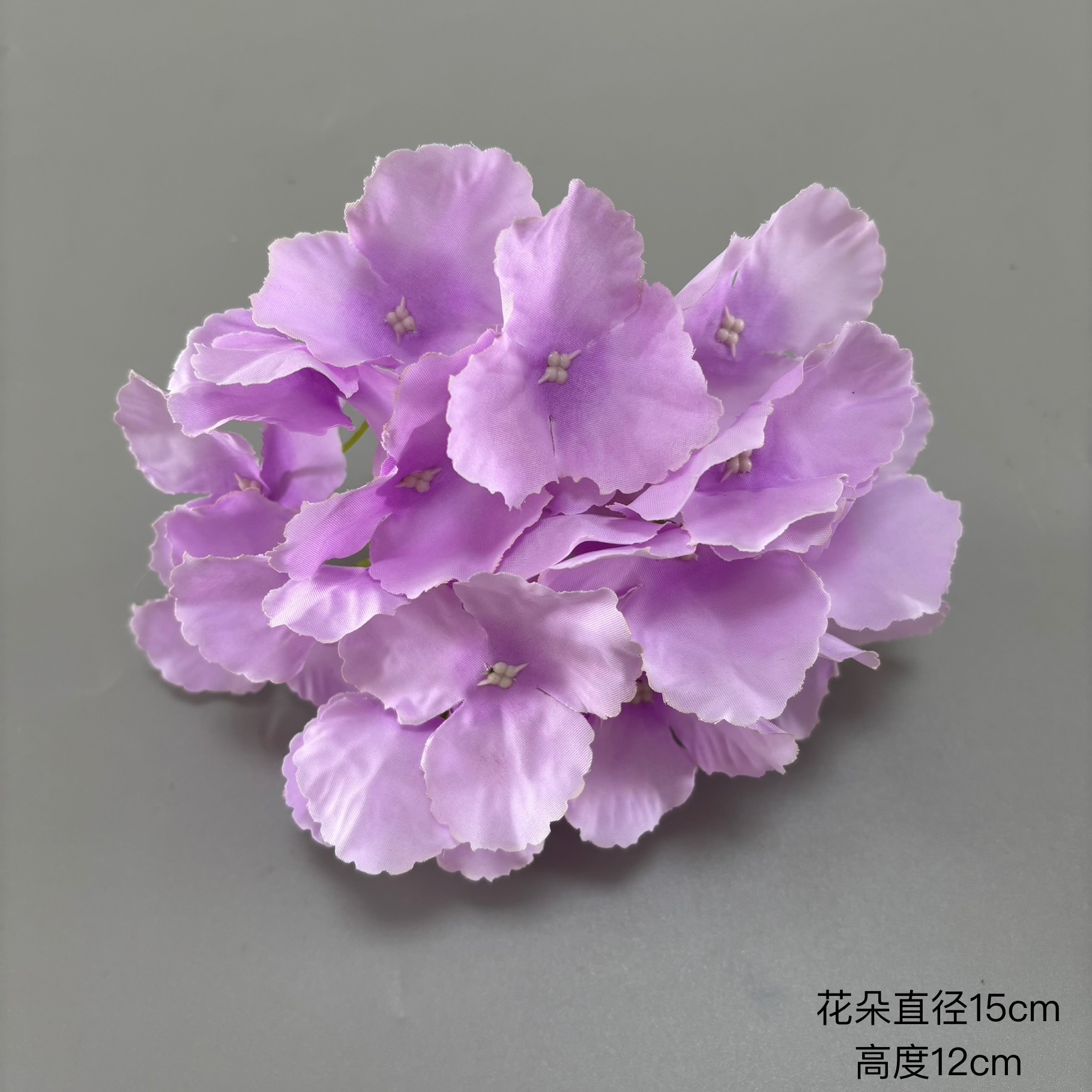 밝은 보라색