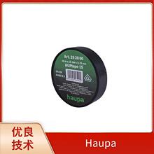 262064 �¹� Haupa  ��׹��� ����������