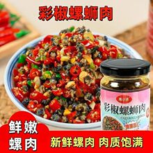 彩椒螺蛳肉瓶装彩椒田螺肉螺丝肉香辣下饭菜零食辣椒酱AA批发代发