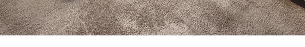 d045cd9f-c196-4051-a7cd-5e621b7446e4.jpe