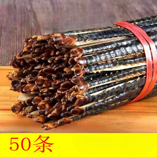 ��ș�����/����50�l �t�^��� ��11�����L���О���ϐ�Ӱ׻���