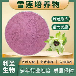 ѩɏ�����B��98%ѩɏ��ѩɏ����ȡ��ɽѩɏ�۬F؛���lѩɏ���B��