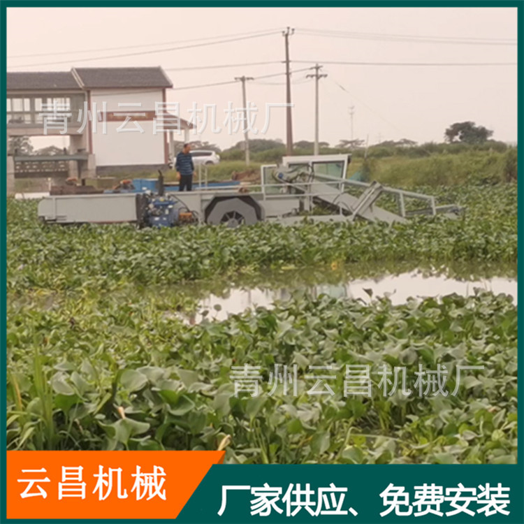 福建水面水葫芦水草收割割草船 水花生水草收割打捞船 河道除草船