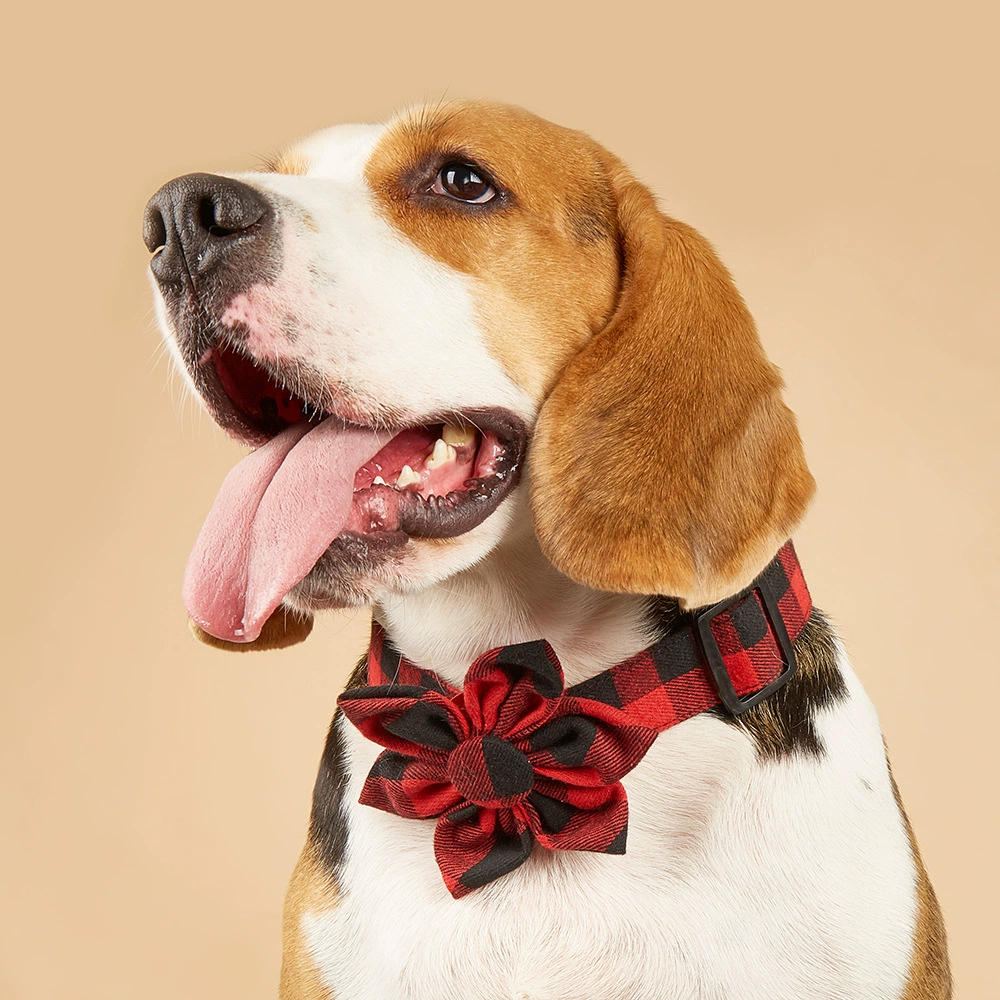 Tanpopo спот подсолнух рождественский красный черный плед домашнее животное ошейник лук домашнее животное ошейник собака галстух