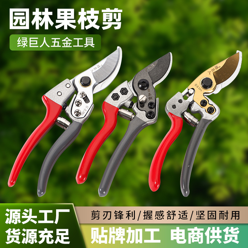 台湾SK5修枝剪园林园艺剪刀树枝剪果枝剪刀花艺剪 羊蹄剪厂家直销
