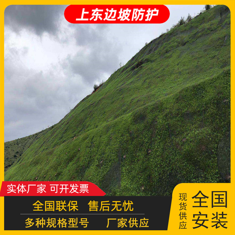 边坡绿化客土喷播 植草荒山复绿生态治理 山体落石防护挂网施工