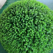 �ȼ������Ͻ��X���� �������ϲ��� �b���Ʒ�������m�����S�����