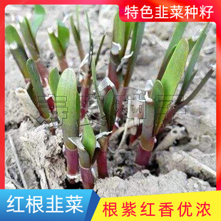 �²˷N�����Ϫ����t�״��~��ζ���ͺ��������ļ������r�����R��