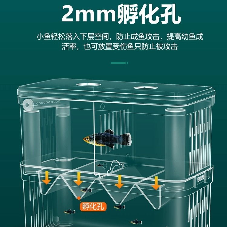 魚缸隔離盒孵化盒孔雀魚繁殖盒熱帶魚小魚幼魚大小號孵化器產卵房