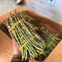 铁皮石斛鲜条500g霍山现采摘五年生基地直销新鲜产地直发