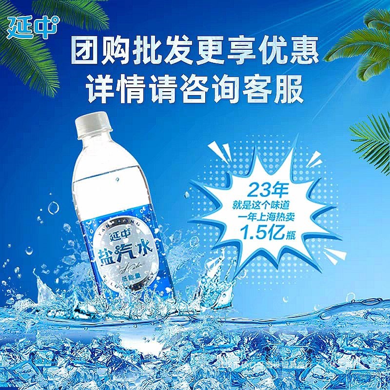 延中盐汽水600ml*20瓶整箱防暑劳防老上海风味气泡水饮料团购批发