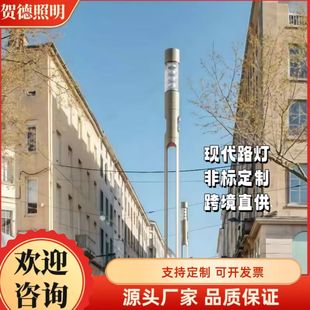 Cross-Border Preferred Engineering Quality Sound Column Broadcast Commercial Outdoor Waterproof Outdoor Monitoring Smart Street Light Solar Light