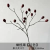 Olive fruit-red