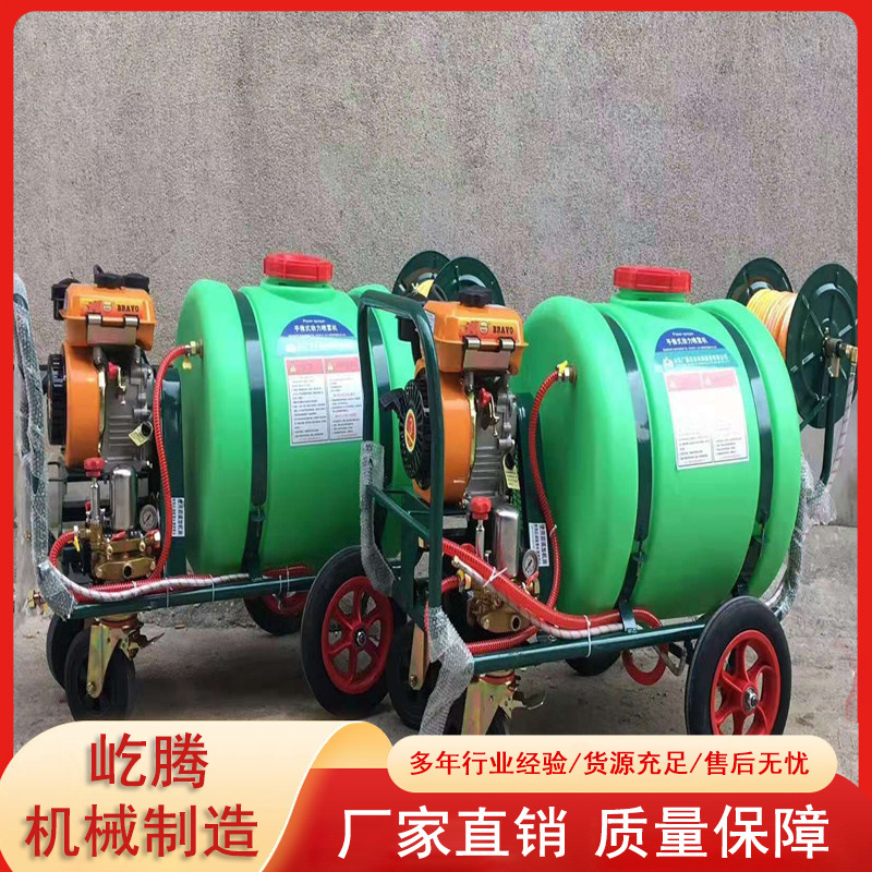 农用大容量推车式蔬菜大棚喷雾打药机 手推式汽油柴油电动喷洒机