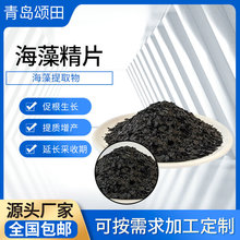 Nƶrúɫs徫Ƭøa~_ʩֲЙC