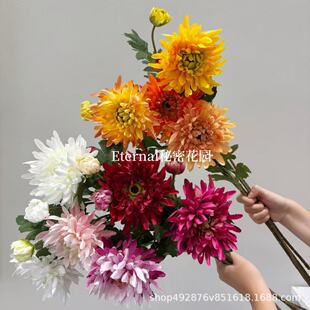 �����ͮ��L�͹Ű�צ�ղ�˹�ս����Ї��Lĵ���羳�����Ƶ깤�S���l