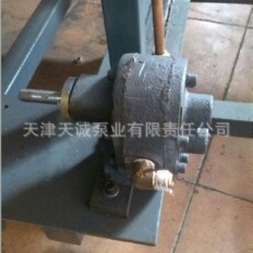 铜轮浆泵JHB/不锈钢泵/胶水泵/斜齿泵/人字泵/全铜泵/耐酸碱