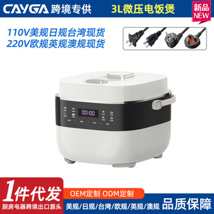 110V����΢��X��������Tiđ�๦������������ų��������