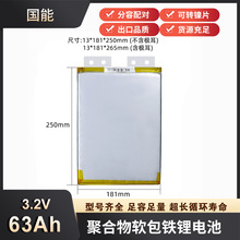 国能3.2V63Ah软包磷酸铁锂电池薄款聚合物电动车储能3.2V聚合物