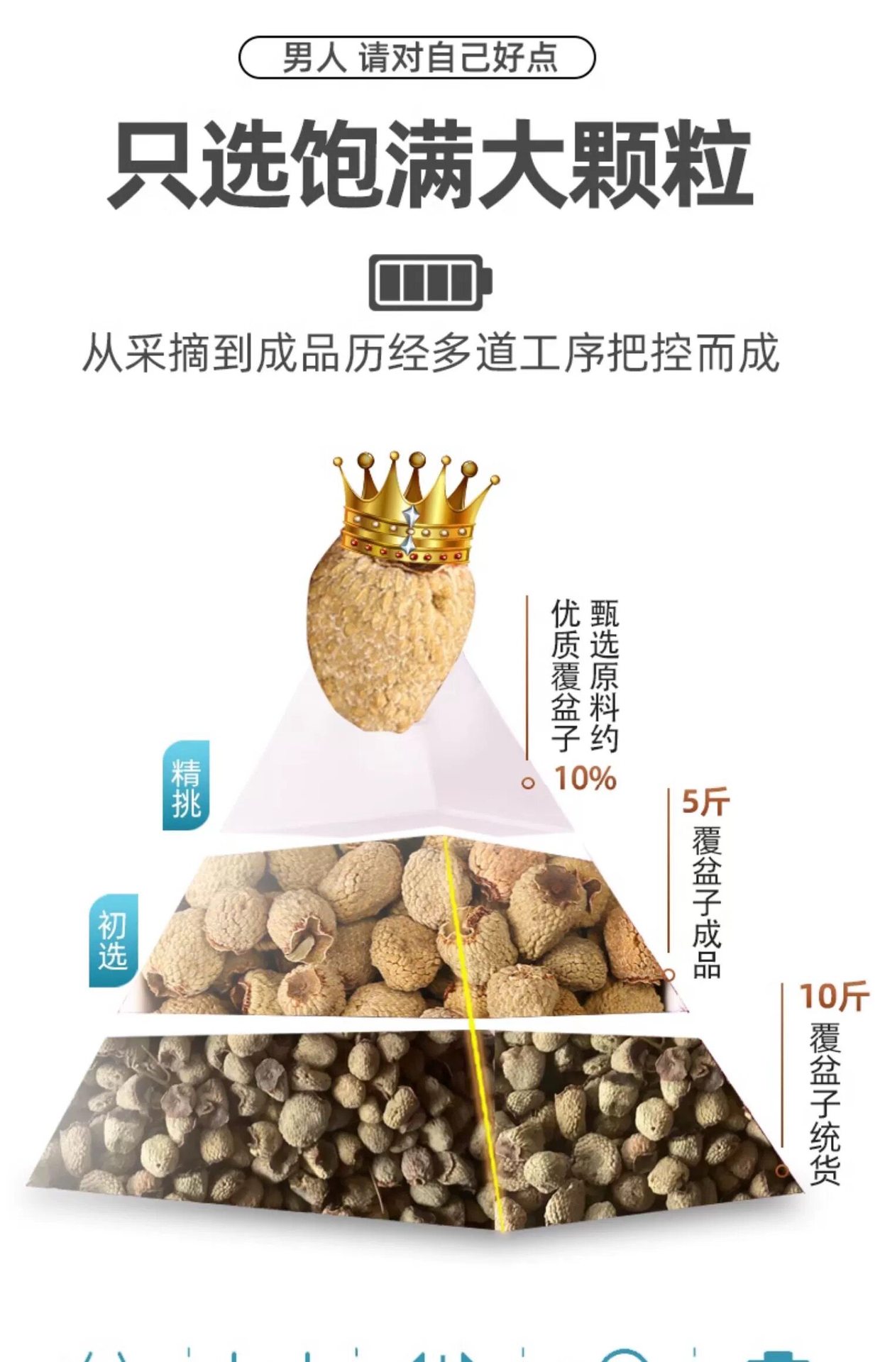 Wild Raspberry Dried Fruit Fu Pen Zi 500g Herbal Tea and Wine Ingredient quality and texture