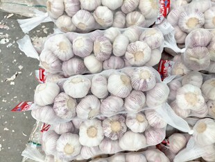 �������Դ�^���S������Ƥ���⣬5PС���b���⣬���ڰ�Ƥ����