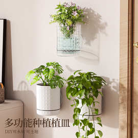 自吸水挂壁吊篮壁挂花盆办公阳台土培水培绿植花卉免打孔挂墙盆栽