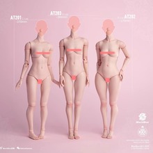 �Ͳ� 1/6����Ů����ؽڿɶ���׼��AT201���Ȱ�AT202ģ�ذ�AT203