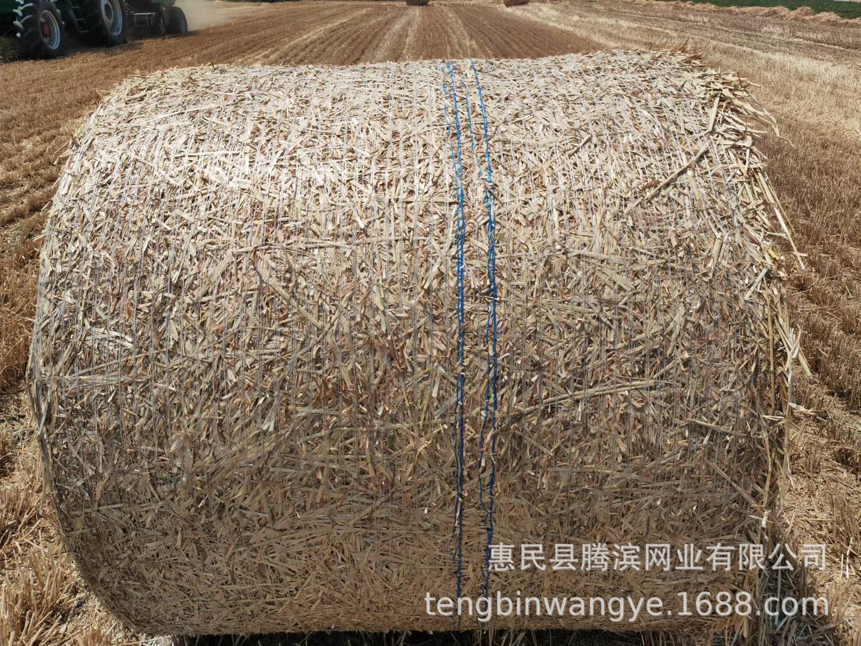 25b1ab5df09763153f434713ba7313