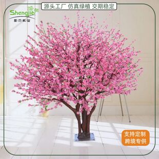 ���a�S�ҷ����һ���Ƶ��b�c�̈��S��쾰�[�ŷ���ѻ���