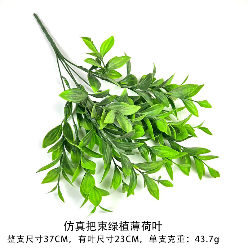 녹색 식물과 민트 잎의 시뮬레이션 묶음