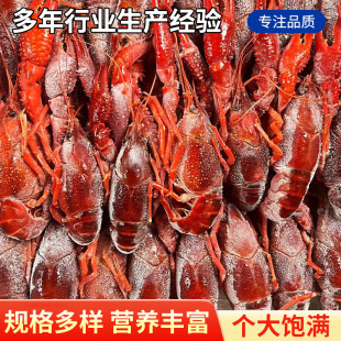 ���r�����ˮС���r20�ﵭˮ�����r3-9�X���Ʒҹ������ˮ�a���r