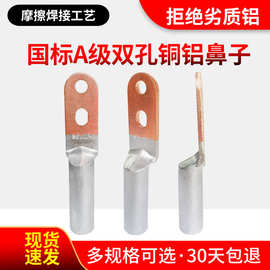 DTLS国标双孔铜铝过渡鼻子接线端子25线鼻子35/50/70/120/240平方