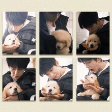黄子弘凡与可爱小狗合照小卡黄子小狗天赐的声音蟹黄堡应援明信片