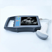 猪用B超机兽用b超猪羊测孕设备怀孕检测仪便携彩色高清B超养殖用